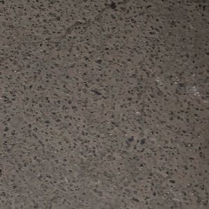 Meet your Posher, Pedro